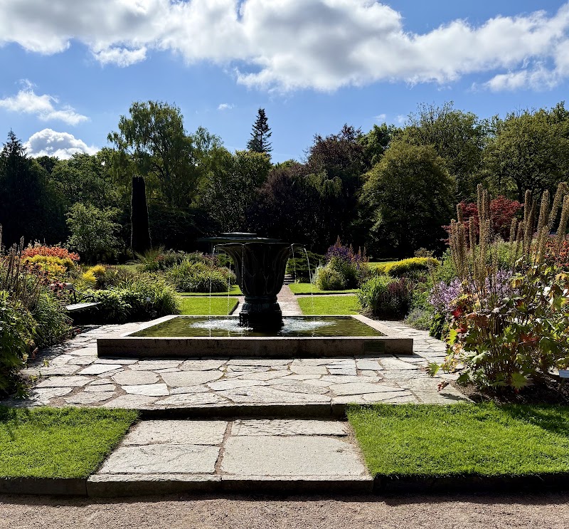 Jardin botanique de Göteborg – Carl Skottsbergs g 22A, 413 19 Göteborg, Suède (photo 3)