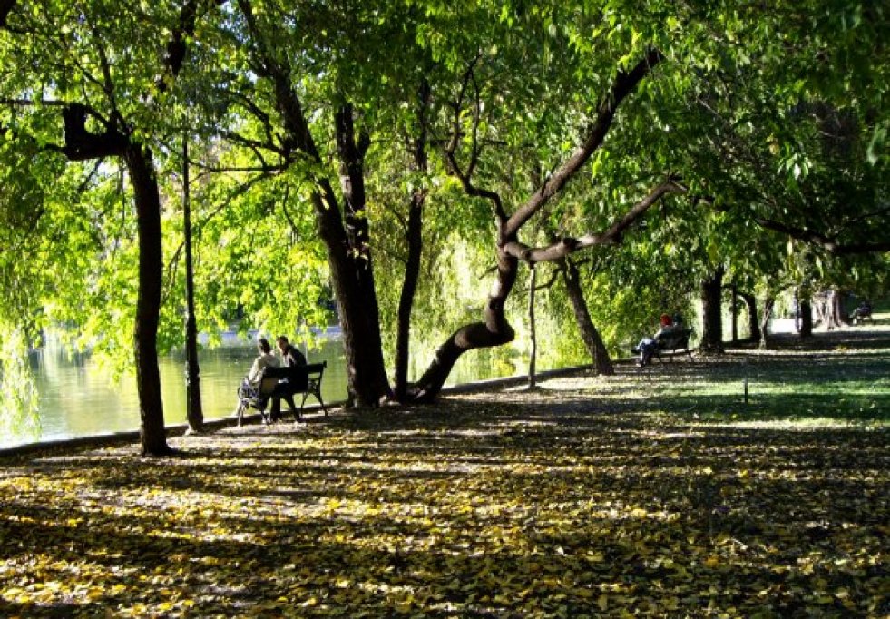 Jardin Cișmigiu – Bulevardul Regina Elisabeta, 030167 București, Roumanie (photo 1)