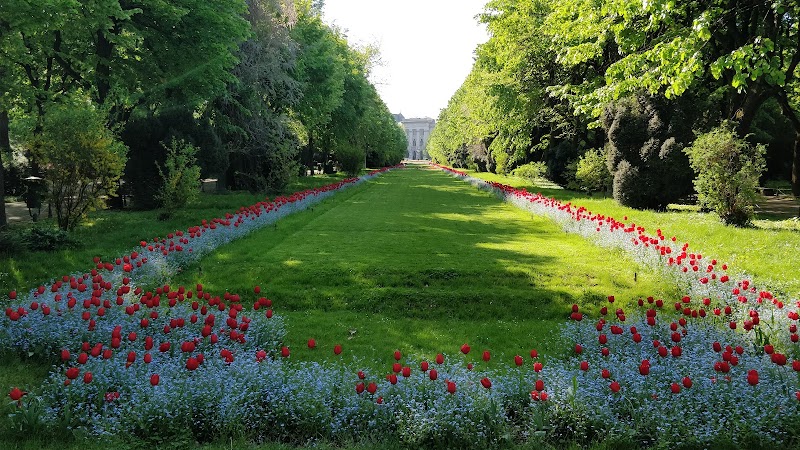 Jardin Cișmigiu – Bulevardul Regina Elisabeta, 030167 București, Roumanie (photo 2)