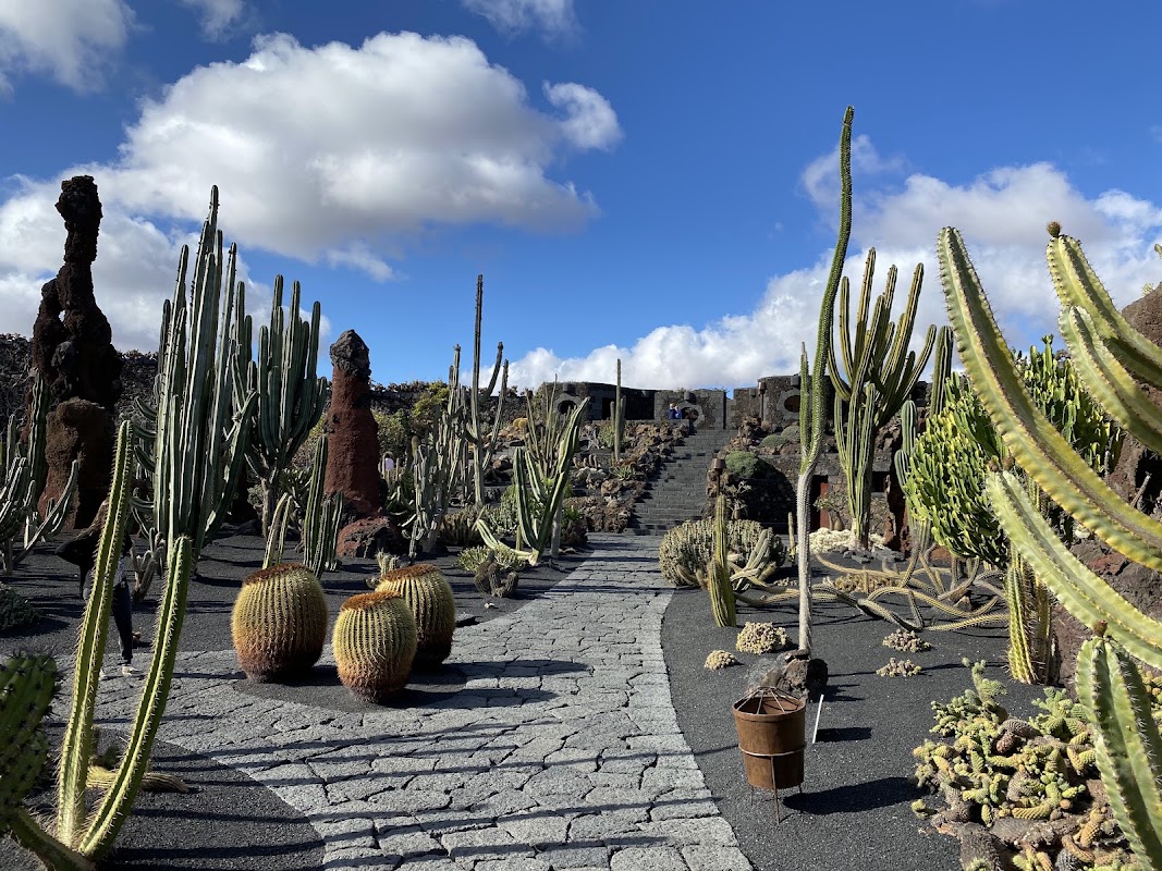 Jardín de Cactus à Guatiza – Guatiza, Teguise, Lanzarote (photo 1)