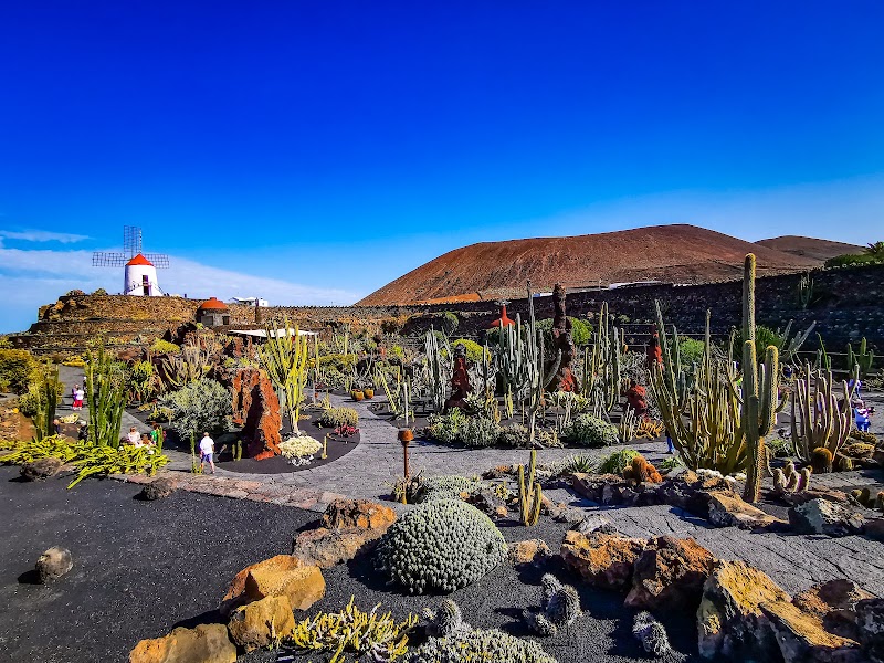 Jardín de Cactus à Guatiza – Guatiza, Teguise, Lanzarote (photo 2)