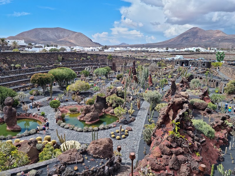 Jardín de Cactus à Guatiza – Guatiza, Teguise, Lanzarote (photo 3)