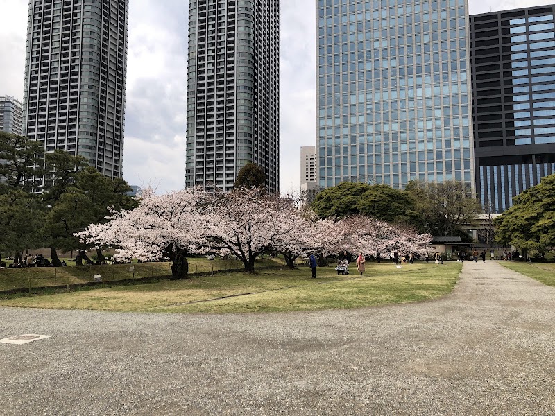 Jardin Hamarikyu – 1-1 Hamarikyūteien, Chuo City, Tokyo 104-0046, Japan (photo 3)
