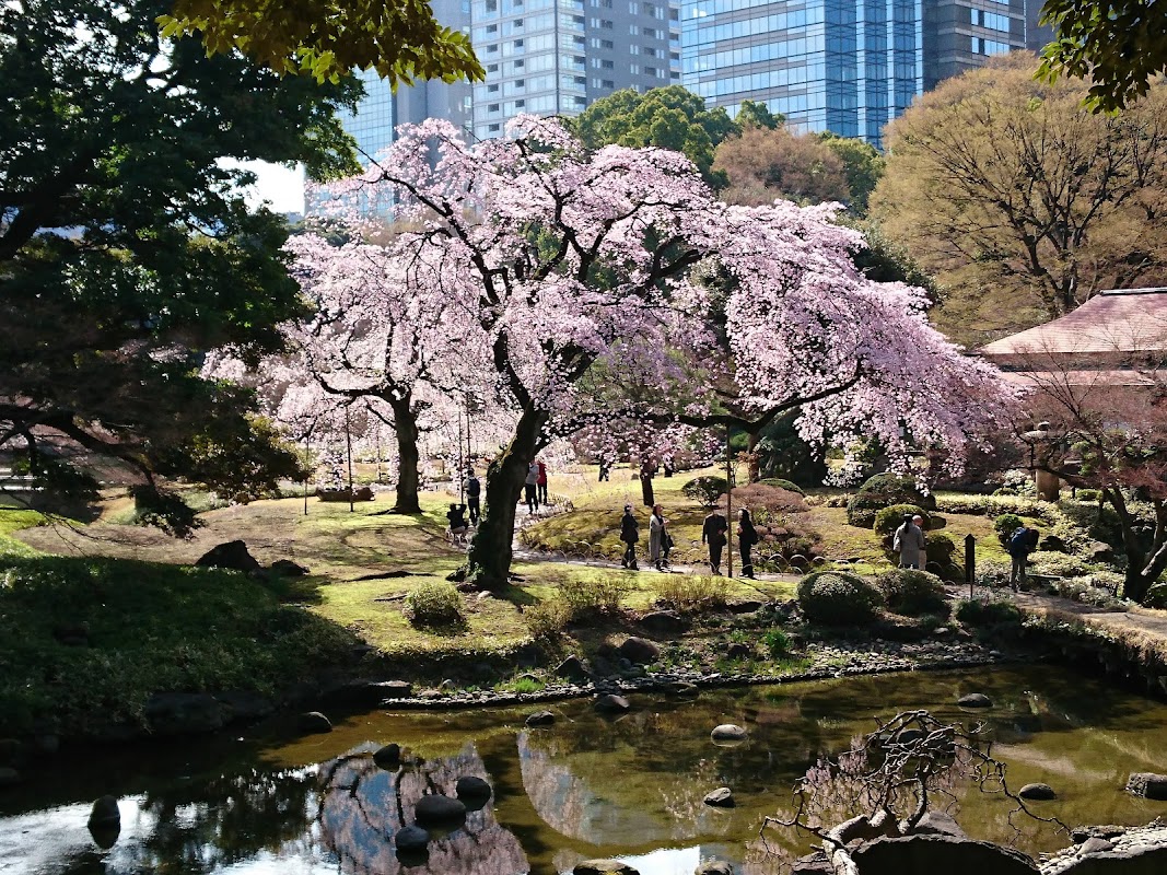 Jardin Koishikawa Korakuen – 1-chōme-6-6 Kōraku, Bunkyo City, Tokyo 112-0004, Japan (photo 1)