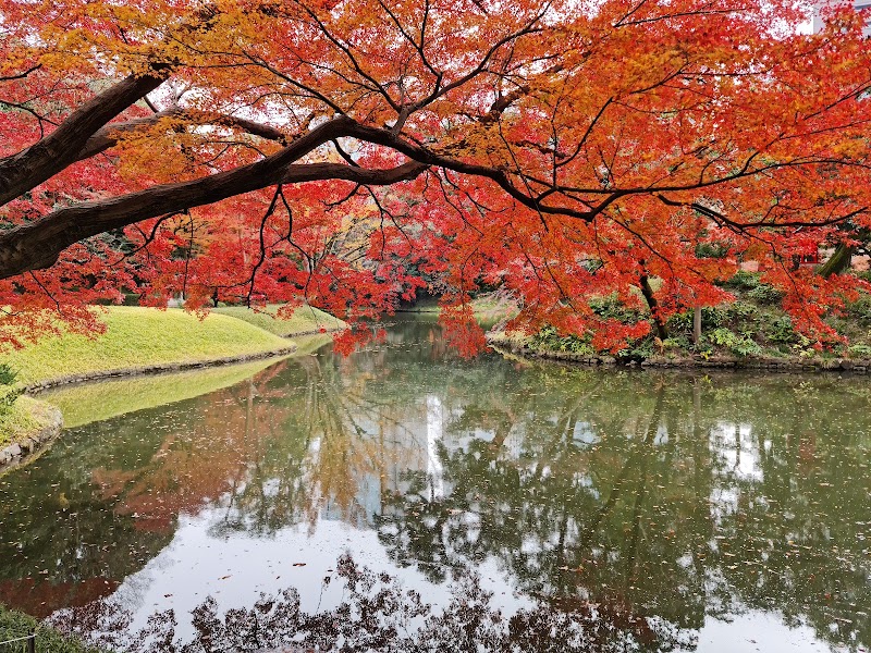 Jardin Koishikawa Korakuen – 1-chōme-6-6 Kōraku, Bunkyo City, Tokyo 112-0004, Japan (photo 3)