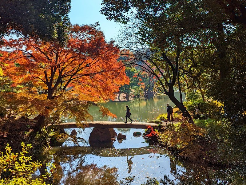 Jardin Rikugien – 6-chōme-16-3 Honkomagome, Bunkyo City, Tokyo 113-0021, Japan (photo 2)