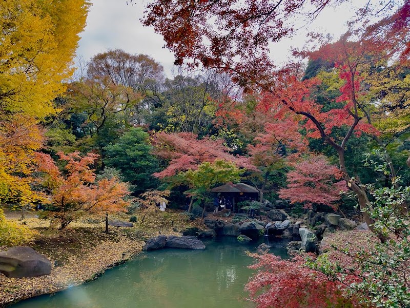 Jardin Rikugien – 6-chōme-16-3 Honkomagome, Bunkyo City, Tokyo 113-0021, Japan (photo 3)