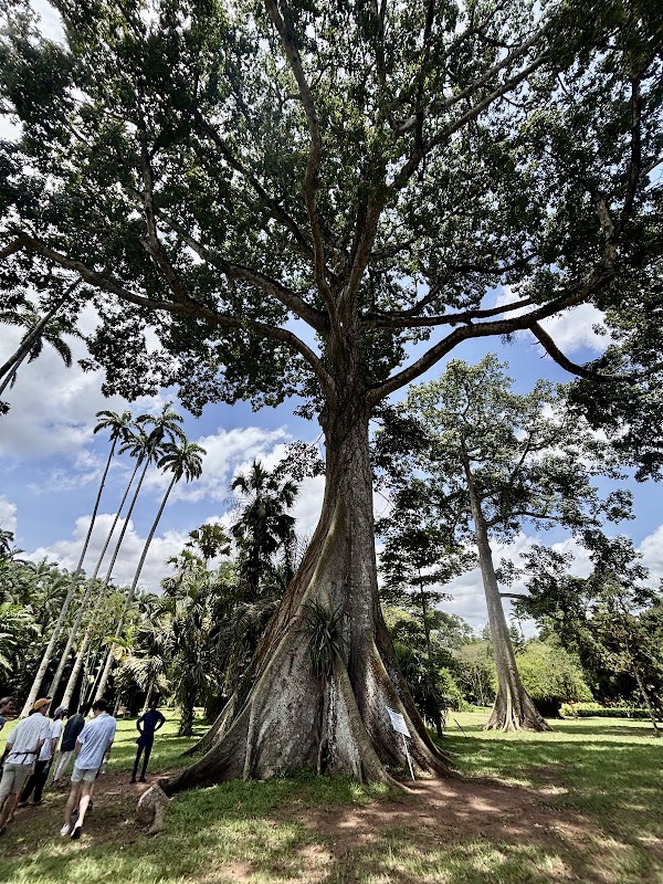 Jardins d'Aburi – Botanical Gardens Avenue, Aburi, Ghana (photo 3)