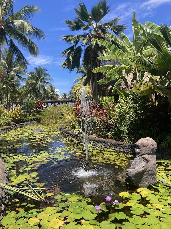 Jardins de Pā'ōfa'i – Jardins de Pā'ōfa'i, Papeete, Polynésie française (photo 1)