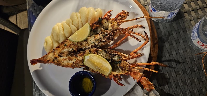Jellyfish Restaurant – Playa Bávaro, Punta Cana, République dominicaine (photo 3)
