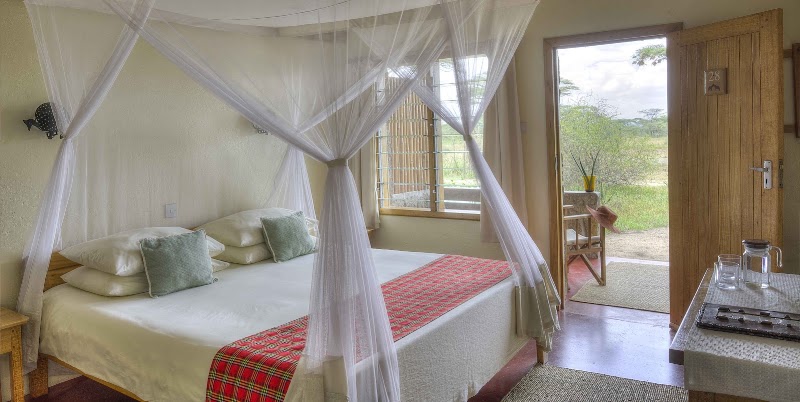 Journée de safari dans le sud du Serengeti, plaines de Ndutu – Ndutu Safari Lodge, zone de Ndutu, Tanzanie (photo 2)