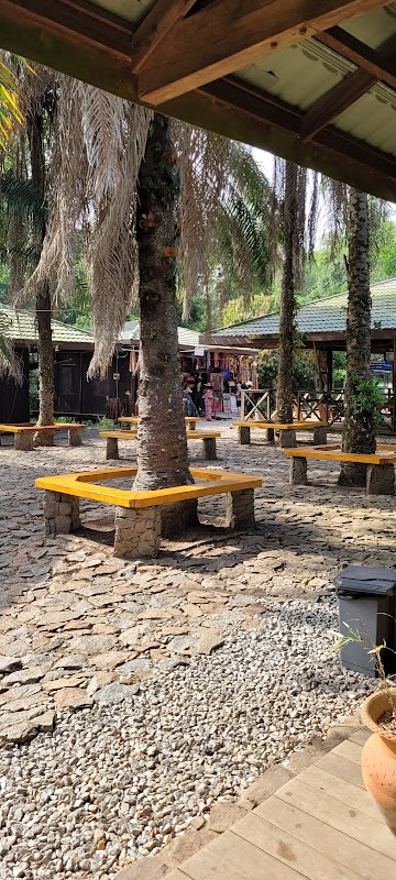 Kakum, la passerelle de canopée – Parc national de Kakum, route Cape Coast - Twifo Praso, Ghana (photo 2)