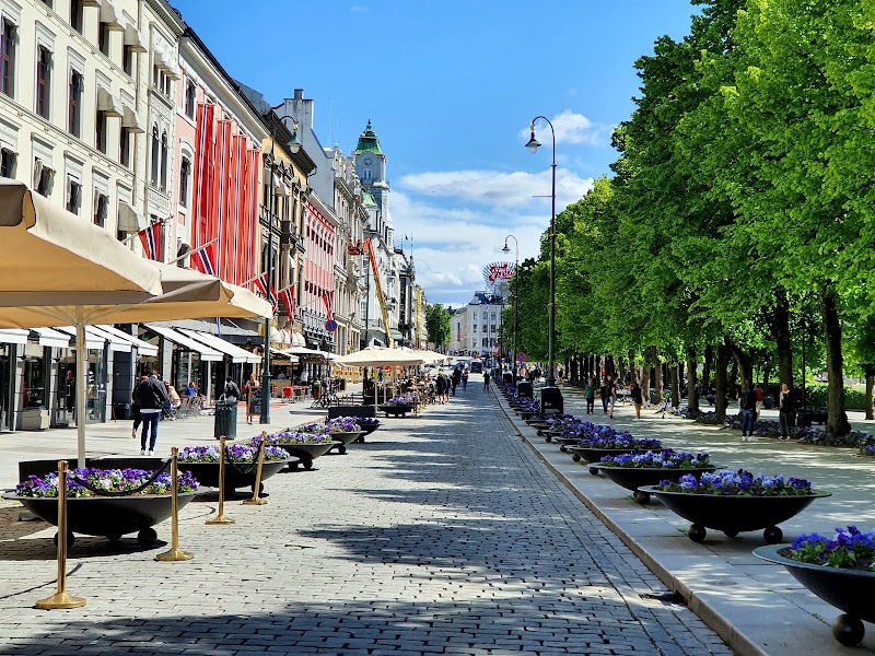 Karl Johans gate – Karl Johans gate, 0159 Oslo, Norvège (photo 3)