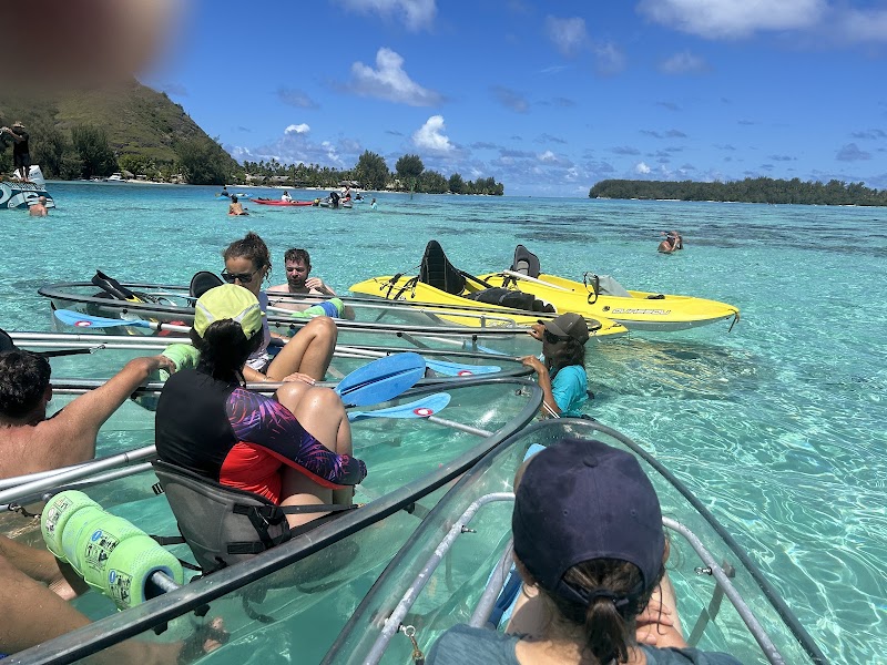 Kayak transparent vers les motu de Tiahura et Fareone – Parc de la plage publique de Tiahura, Moorea, Polynésie française (photo 3)