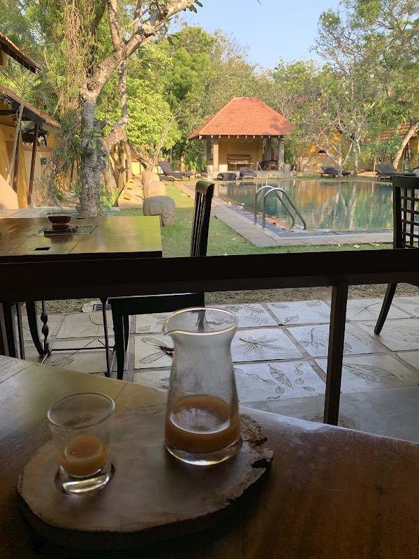 Koththamalli – Koththamalli, Negombo, Sri Lanka (photo 1)