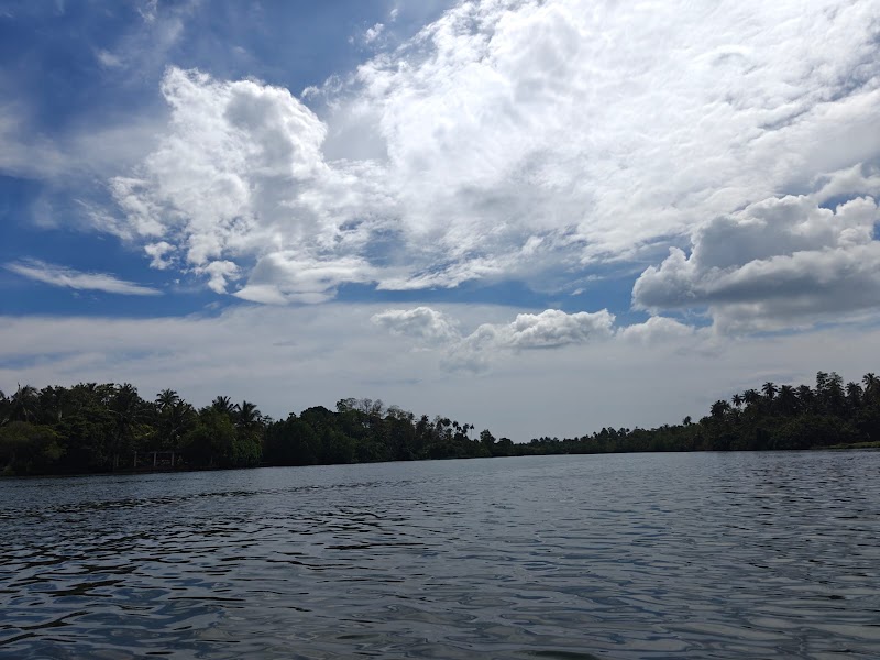 La balade en bateau sur le lac de Koggala – Lac de Koggala, Sri Lanka (photo 3)