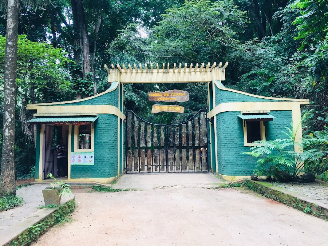 La forêt d'Udawattakele – Kandy, Sri Lanka (photo 1)