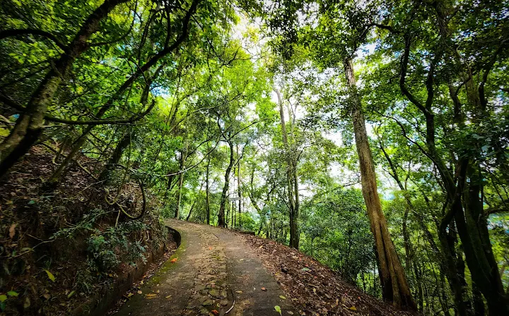 La forêt d'Udawattakele – Kandy, Sri Lanka (photo 2)