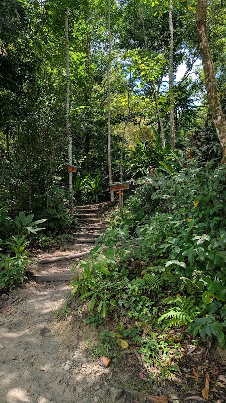 La plage de Biesanz – Playa Biesanz, Quepos, Puntarenas (photo 3)