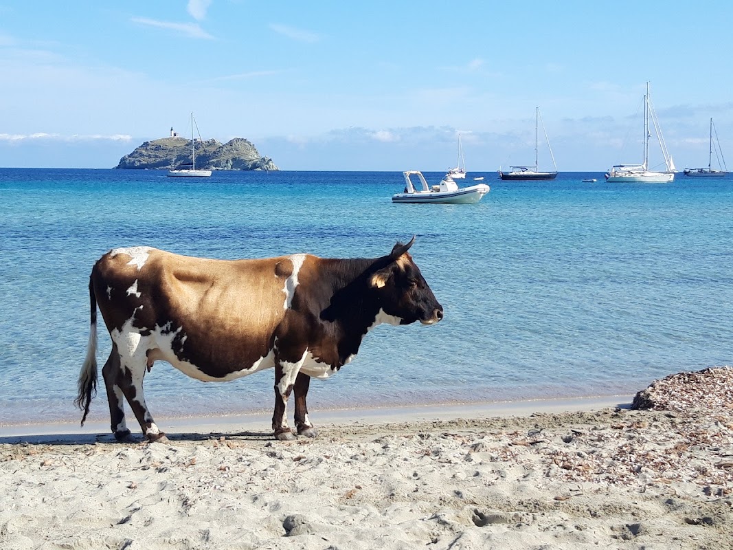 La pointe nord du Cap Corse : Ersa et la plage de Barcaggio – Chemin de la Foce, 20275 Barcaggio, France (photo 1)