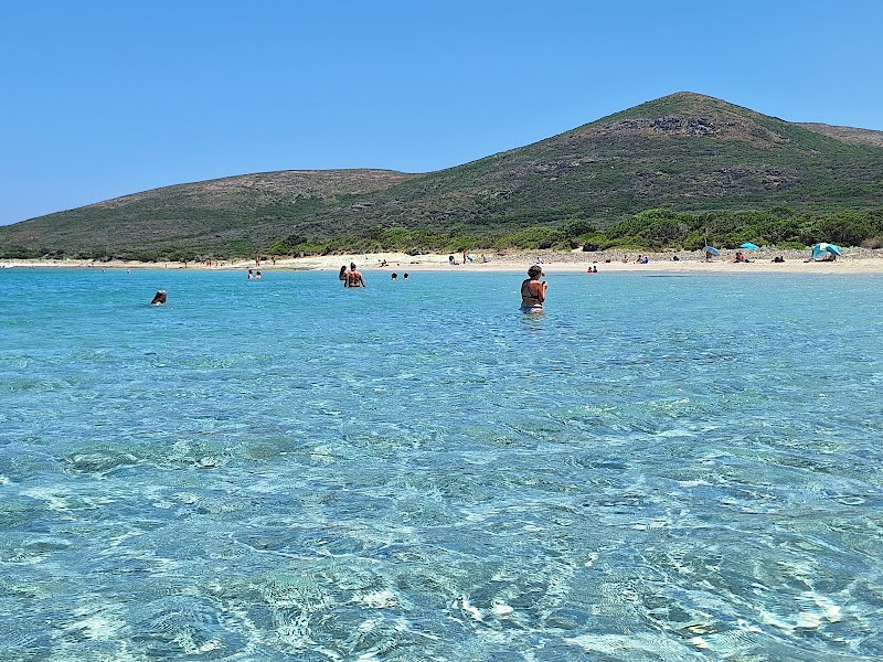 La pointe nord du Cap Corse : Ersa et la plage de Barcaggio – Chemin de la Foce, 20275 Barcaggio, France (photo 3)