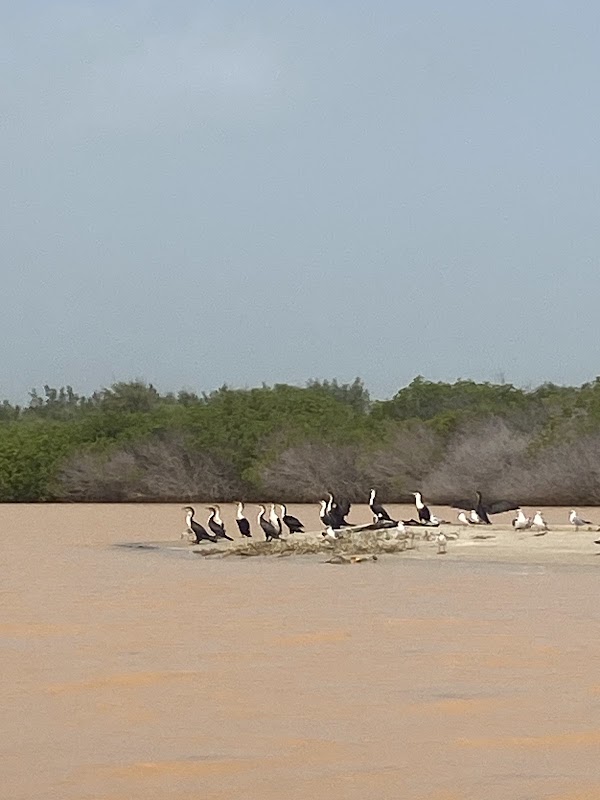 Langue de Barbarie en pirogue – VF8Q+HXH Route de, Mouit, Sénégal (photo 1)