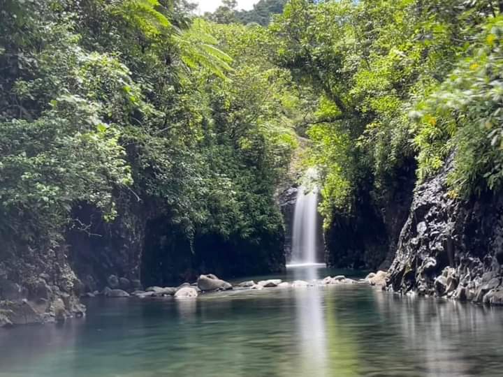 Lavena Coastal Walk et chute de Wainibau – Parc de Lavena, Taveuni, Fidji (photo 1)