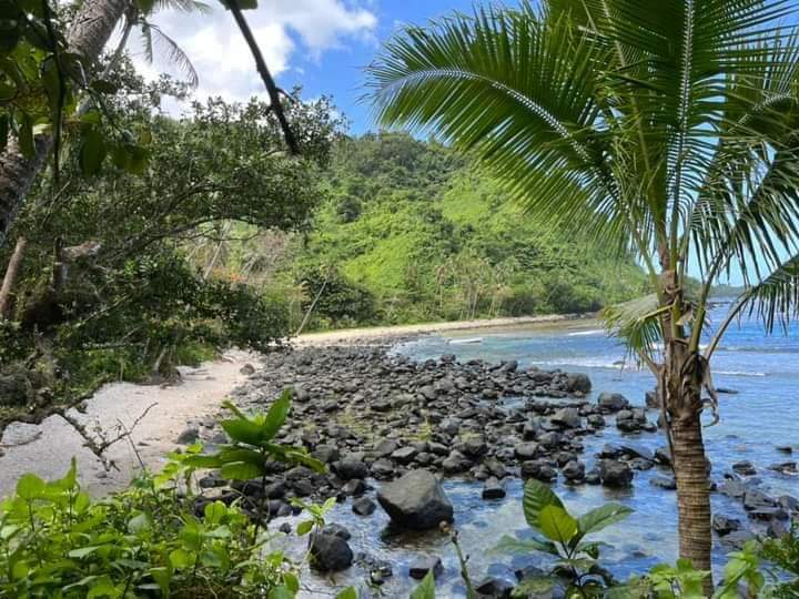 Lavena Coastal Walk et chute de Wainibau – Parc de Lavena, Taveuni, Fidji (photo 2)