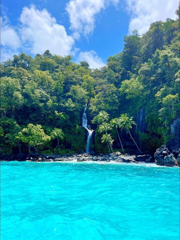 Lavena Coastal Walk et chute de Wainibau – Parc de Lavena, Taveuni, Fidji (photo 3)