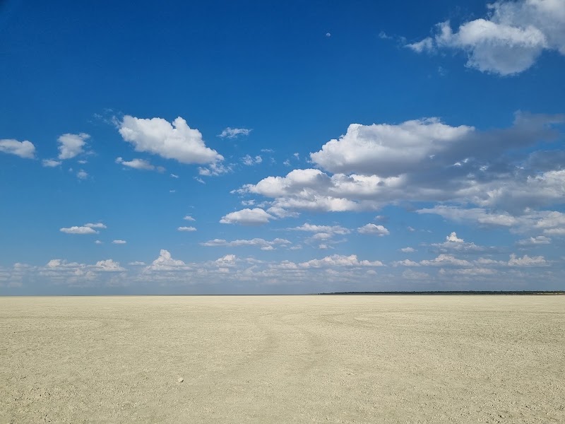 Le belvédère sur la pan d'Etosha – 3F9Q+Q2X, Halali, Namibie (photo 2)