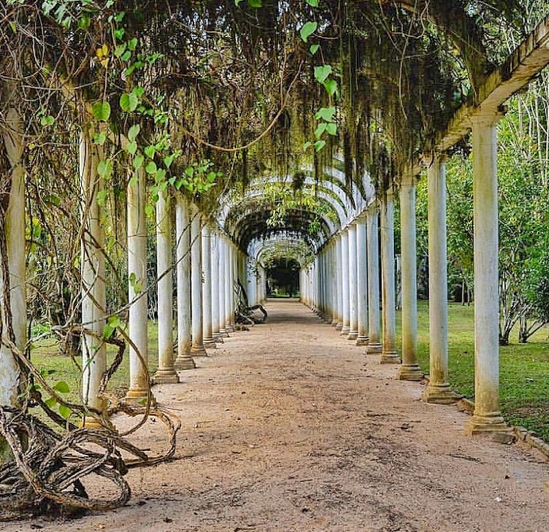 Le Jardin botanique de Rio – R. Jardim Botânico, 1008 - Jardim Botânico, Rio de Janeiro - RJ, 22460-030, Brésil (photo 2)