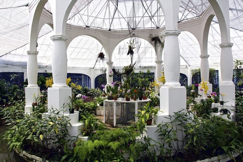 Le Jardin botanique de Rio – R. Jardim Botânico, 1008 - Jardim Botânico, Rio de Janeiro - RJ, 22460-030, Brésil (photo 3)