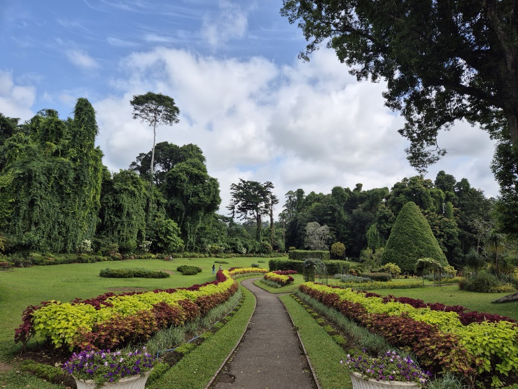 Le jardin botanique royal de Peradeniya – Kandy, Sri Lanka (photo 1)