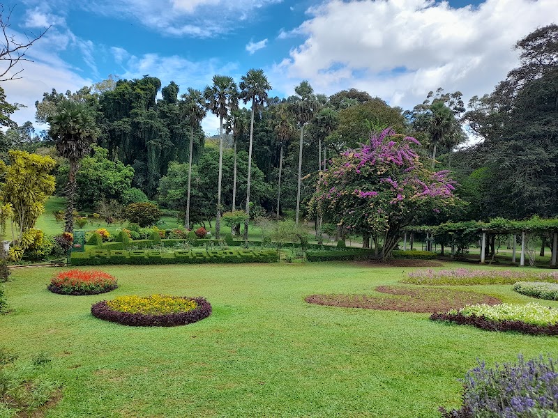 Le jardin botanique royal de Peradeniya – Kandy, Sri Lanka (photo 3)