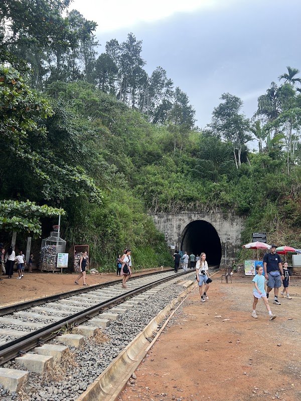Le pont aux Neuf Arches – Ella, Sri Lanka (photo 3)