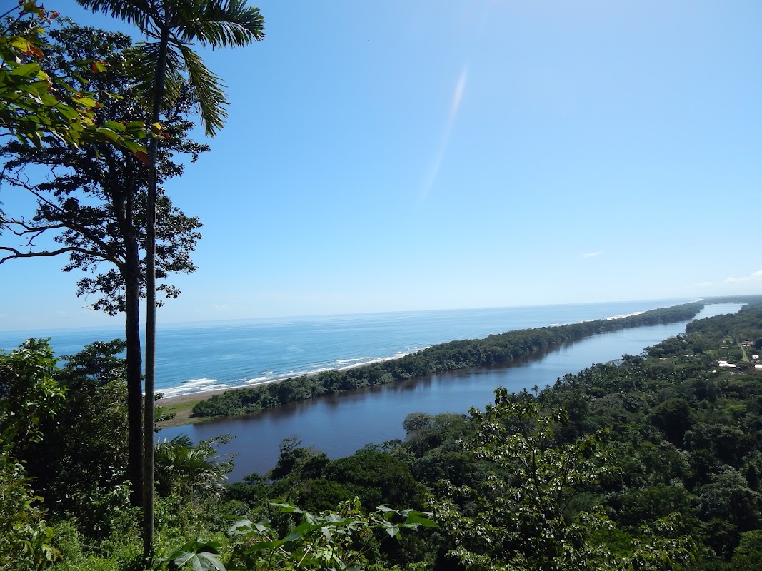 Le sentier du Cerro Tortuguero – Cerro Tortuguero, Colorado, Limón (photo 1)