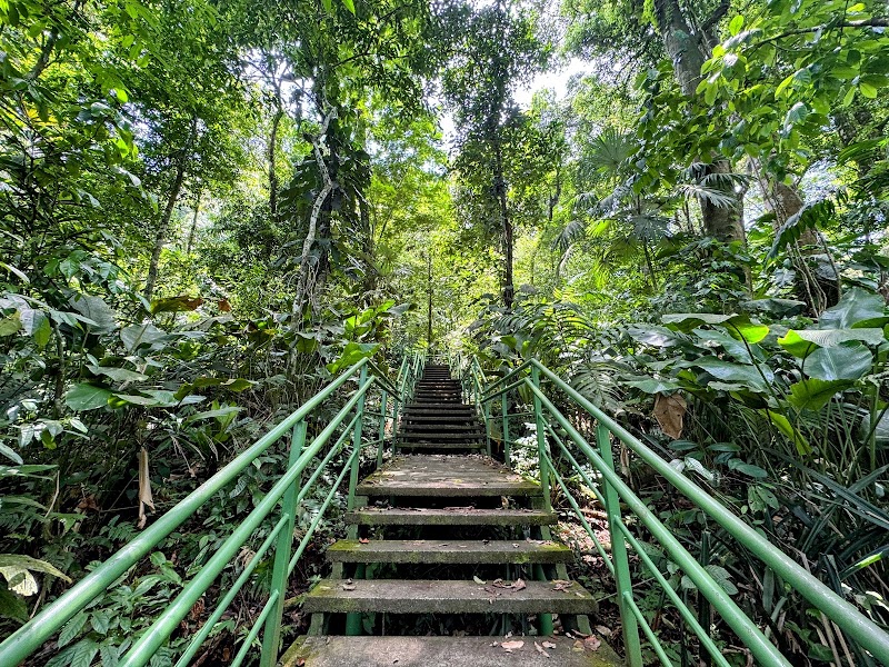 Le sentier du Cerro Tortuguero – Cerro Tortuguero, Colorado, Limón (photo 2)
