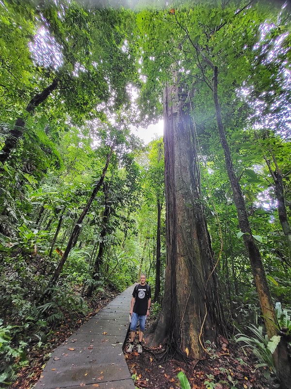 Le sentier du Cerro Tortuguero – Cerro Tortuguero, Colorado, Limón (photo 3)