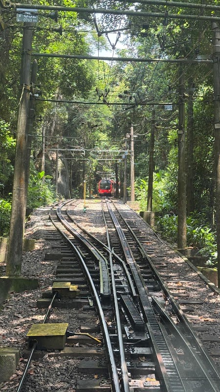 Le train du Corcovado et le Christ Rédempteur – R. Cosme Velho, 513 - Cosme Velho, Rio de Janeiro - RJ, 22241-125, Brésil (photo 3)