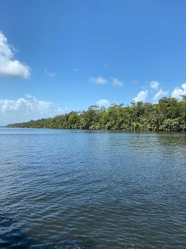 Le village de Tortuguero à pied – Village de Tortuguero, Limón (photo 1)