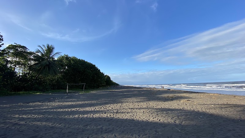 Le village de Tortuguero à pied – Village de Tortuguero, Limón (photo 2)