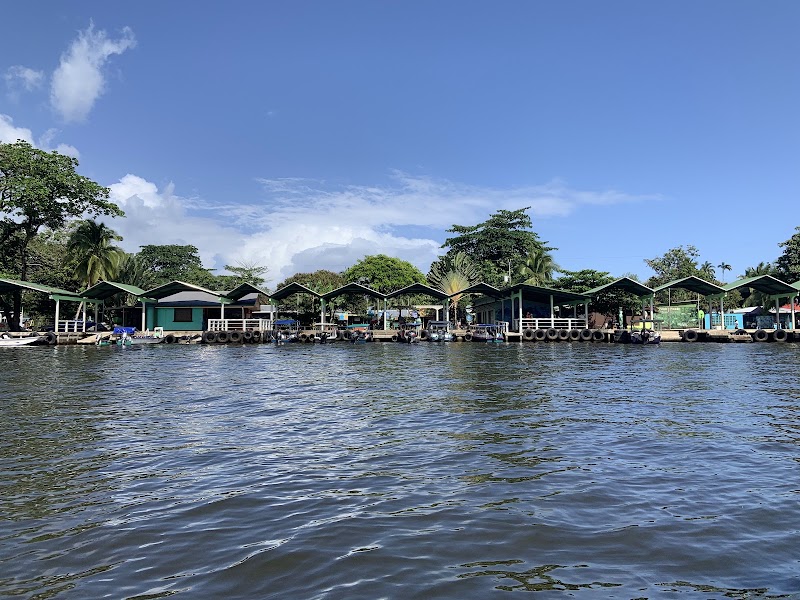 Le village de Tortuguero à pied – Village de Tortuguero, Limón (photo 3)