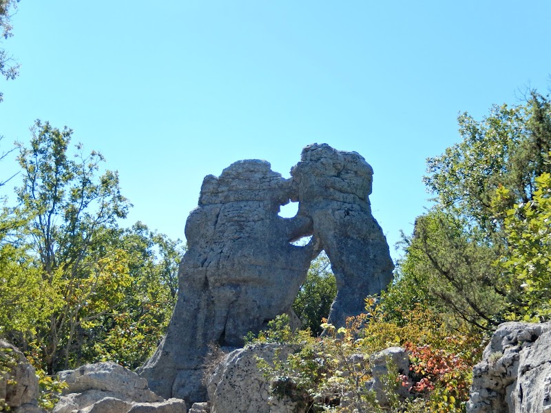 Les Cévennes ardéchoises : le bois de Païolive et Les Vans – Bois de Païolive, 07460 Berrias-et-Casteljau (photo 2)