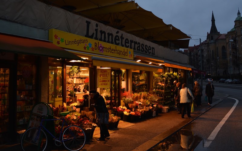 Linnégatan – Linnégatan, Göteborg, Suède (photo 3)