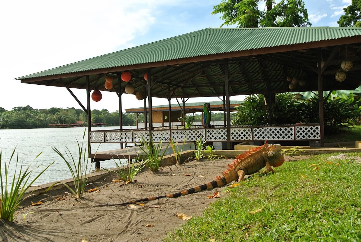 Mawamba Lodge Tortuguero – Tortuguero Canals, Limón, Costa Rica (photo 1)