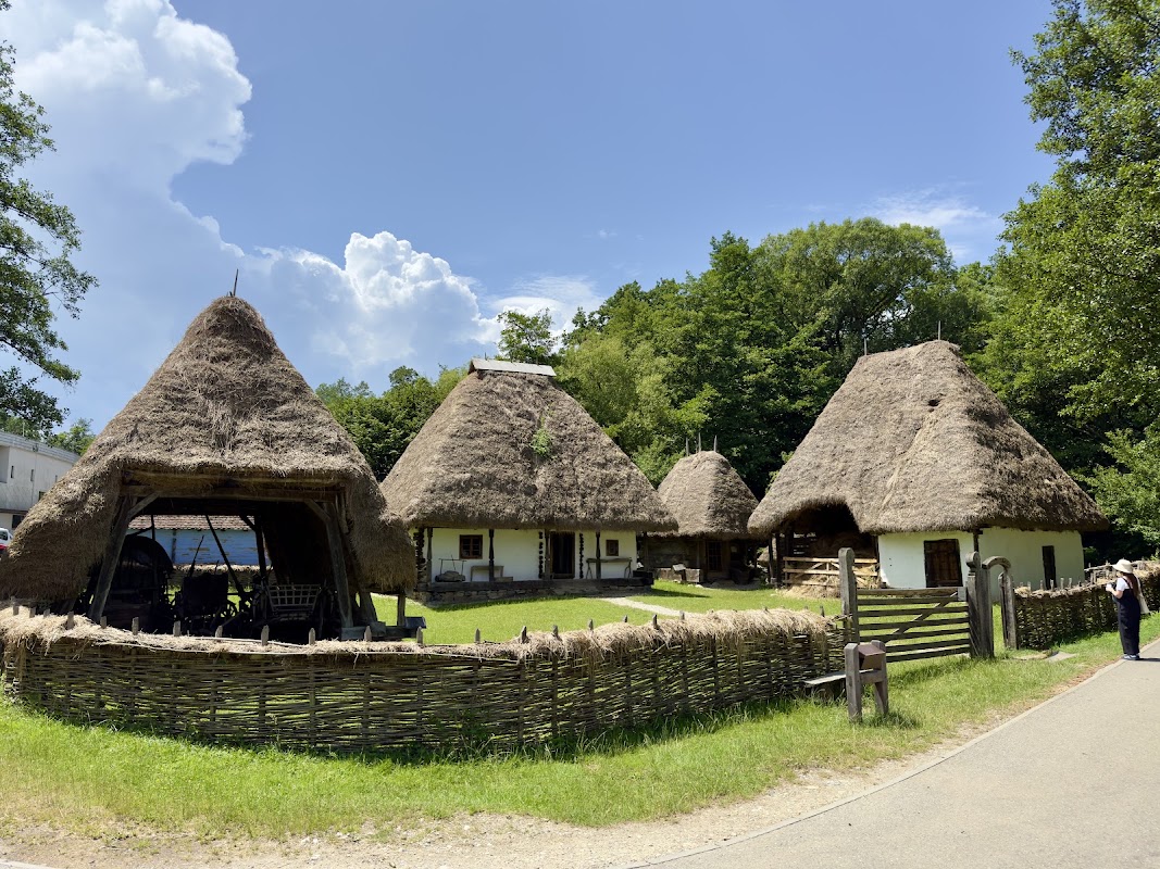Musée ASTRA en plein air – Calea Rășinari, Sibiu, Roumanie (photo 1)