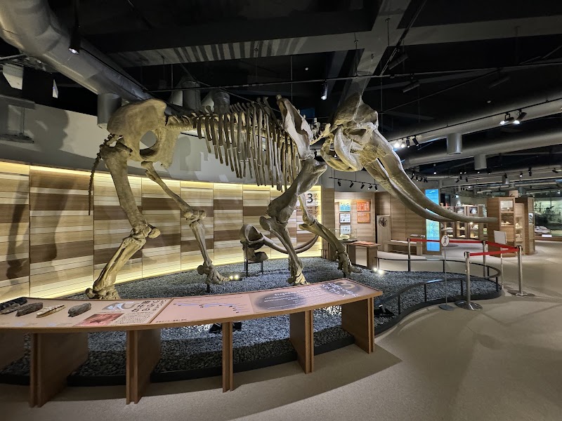 Musée municipal de Kumamoto – 3-2 Furukyōmachi, Chuo Ward, Kumamoto, 860-0007, Japan (photo 2)