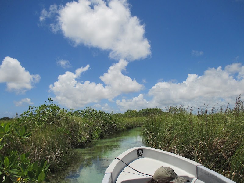 Muyil et Sian Ka'an – Muyil, Felipe Carrillo Puerto, Quintana Roo, Mexique (photo 3)