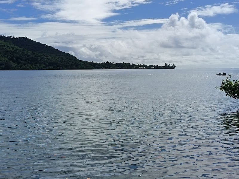 Panorama de Pao Pao – Panorama de Pao Pao, Moorea, Polynésie française (photo 3)