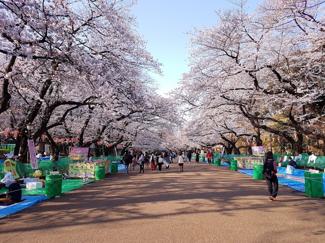 Parc d'Ueno – 4 Uenokoen, Taito City, Tokyo 110-0007, Japan (photo 1)